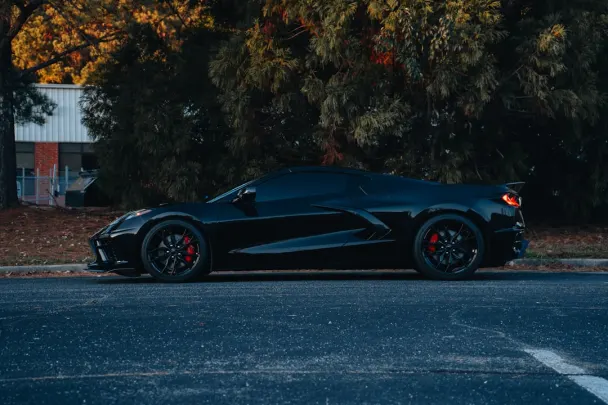 كازينو ستيكي وايلدز تطبيق أندرويد/آي أو إس